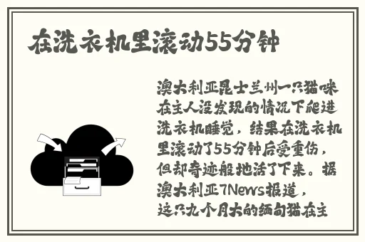 丝瓜秋葵榴莲草莓向日葵二维码
